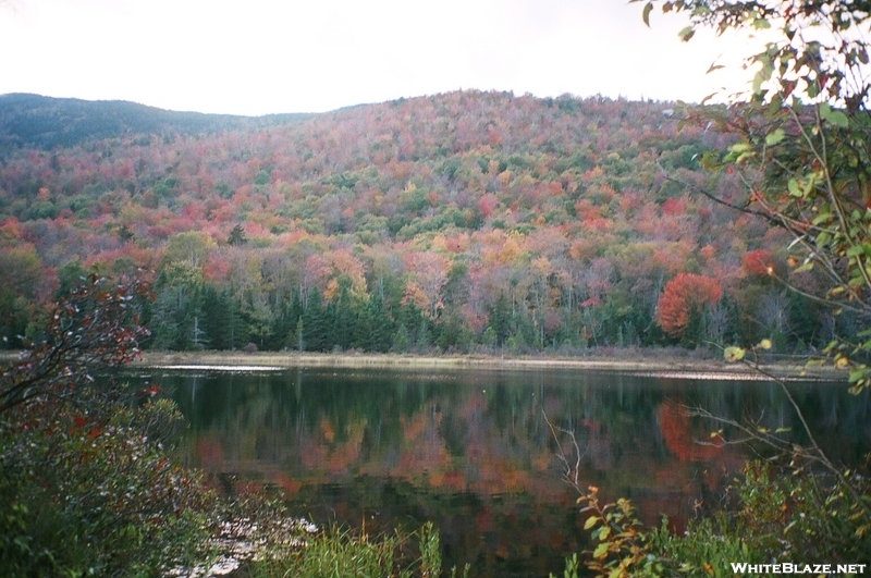 White Mountains In Fall