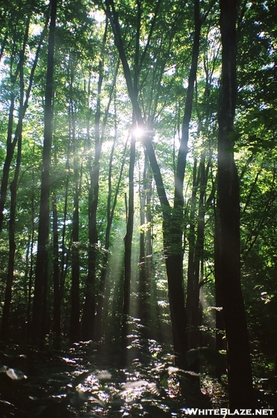 Wilderness Trail