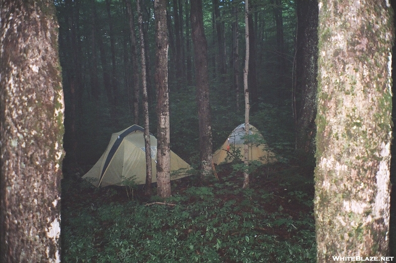 Wilderness Trail Stealth Site