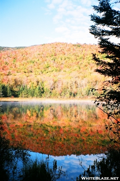 Fall Foliage, White Mountains