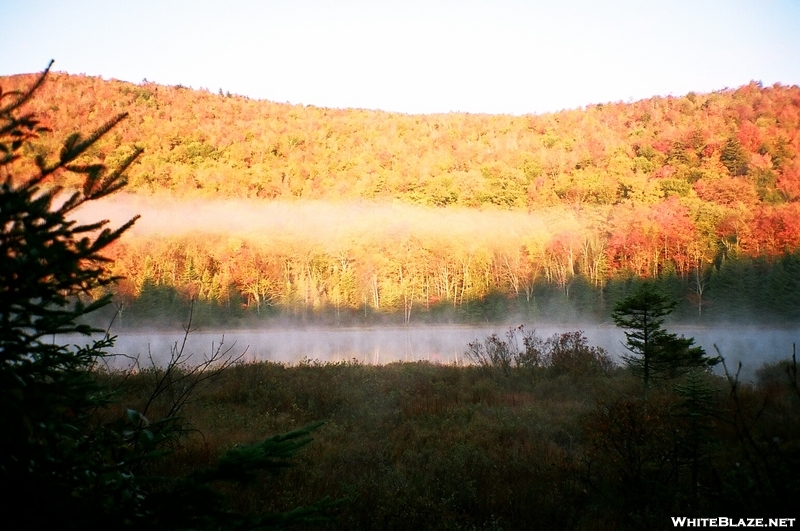 Fall Foliage, White Mountains