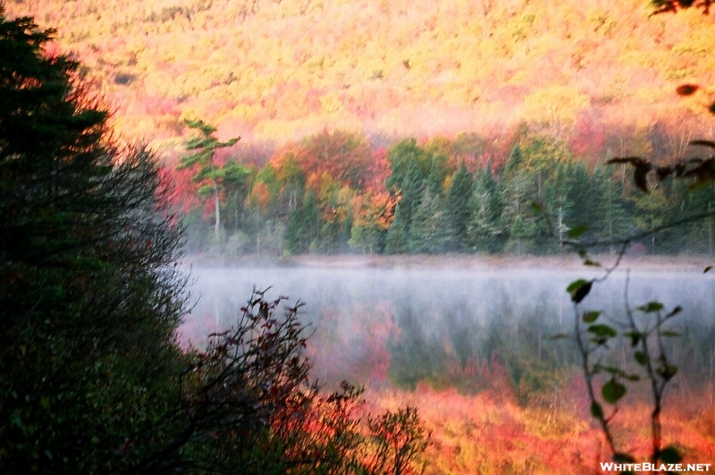 Fall Foliage, White Mountains