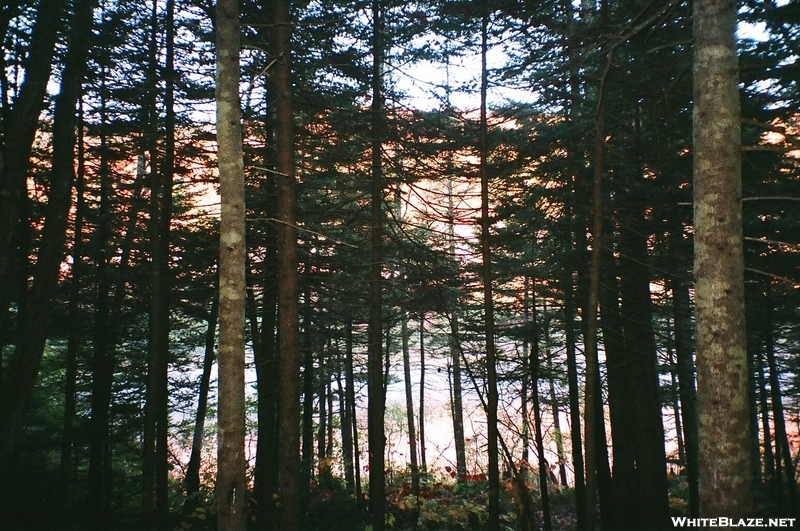 Fall Foliage, White Mountains