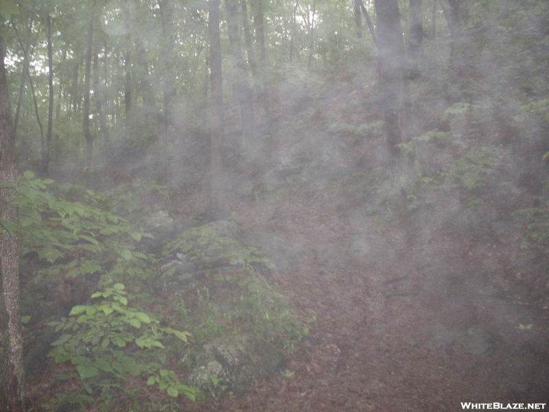 Foggy Trail