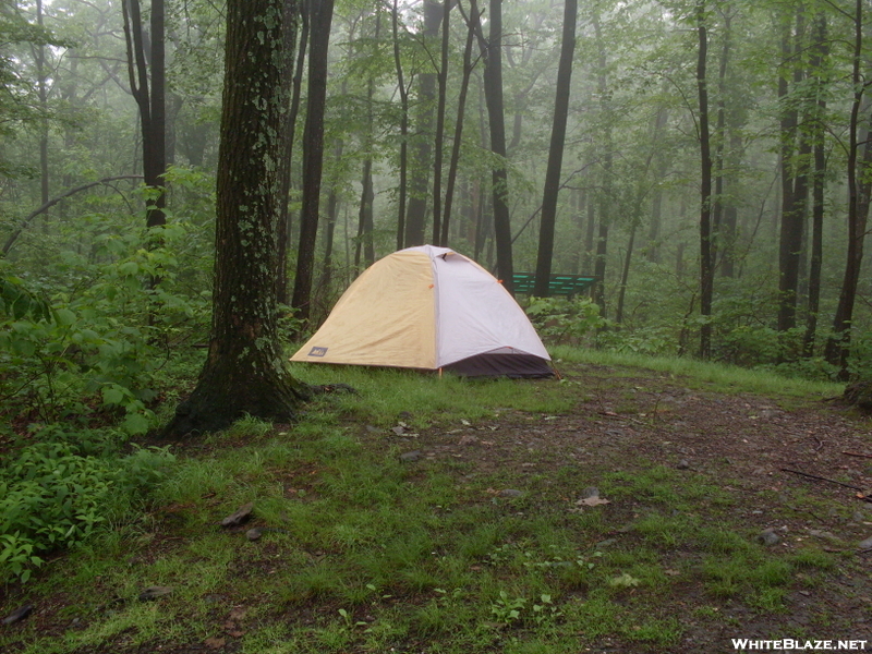 Tent Set Up At Brassie Brook Lean To