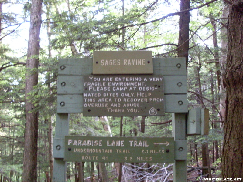 Sages Ravine