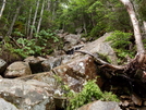 Steep! by Homer&Marje in Trail & Blazes in New Hampshire