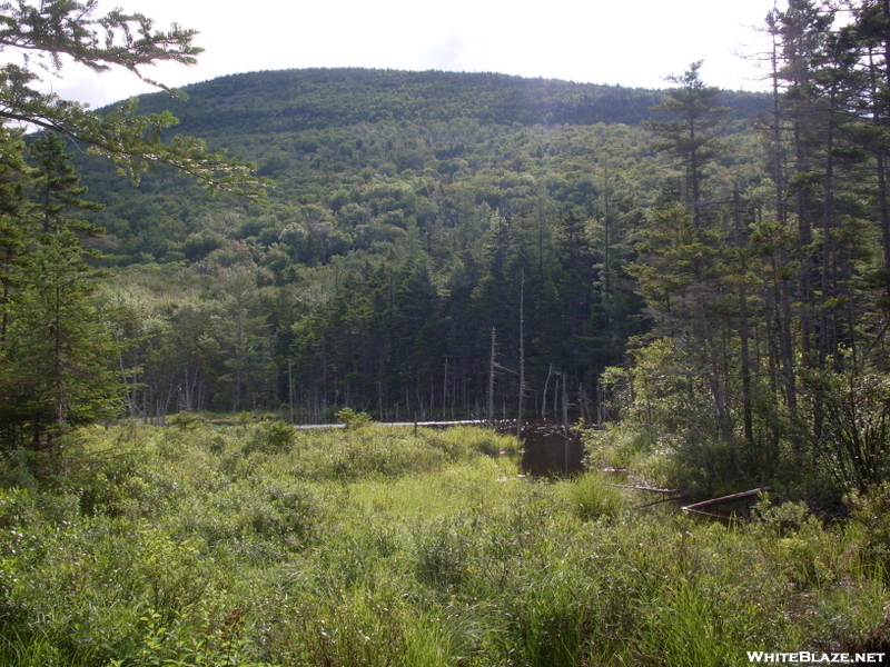 Franconia Brook Trail