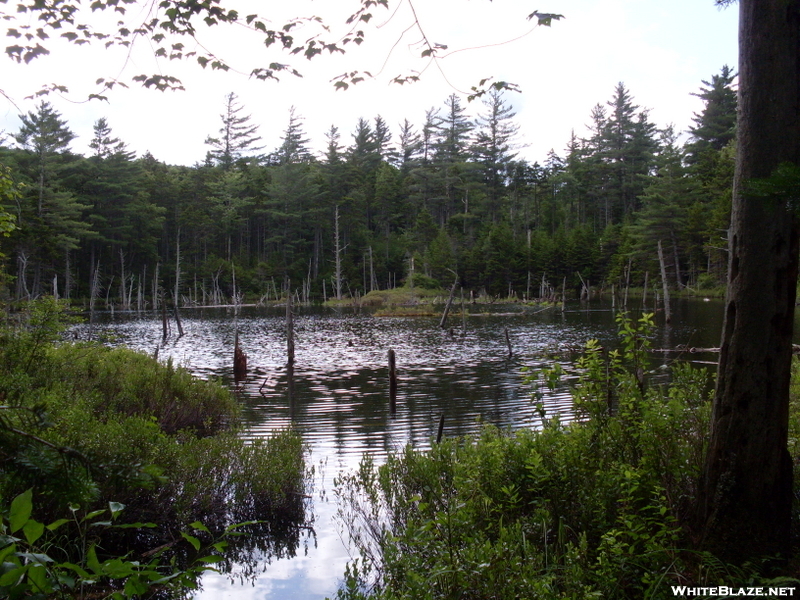 Franconia Brook Trail