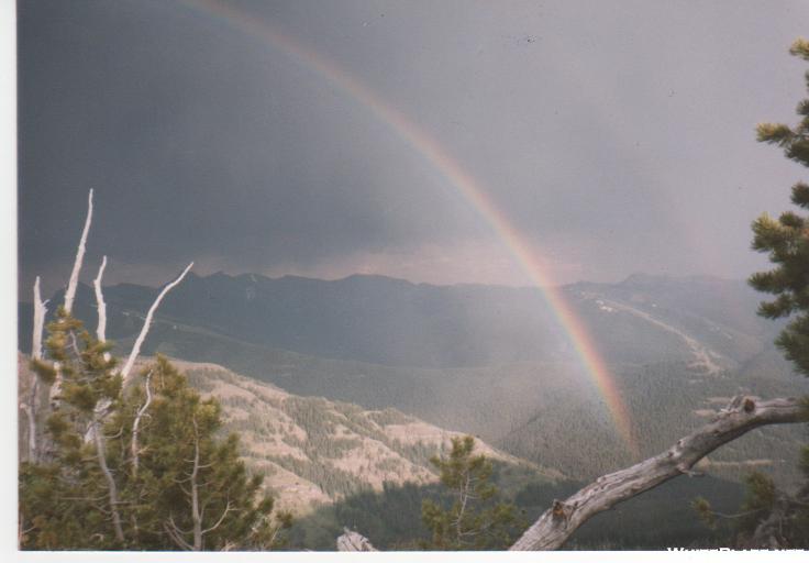 Rainbow Over Yellowstone