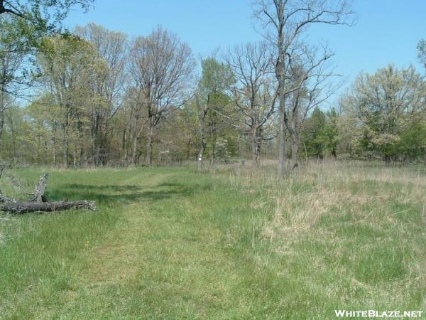 Sky Meadows