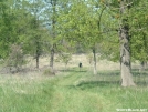 Sky Meadows