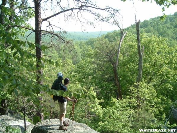 Lookout