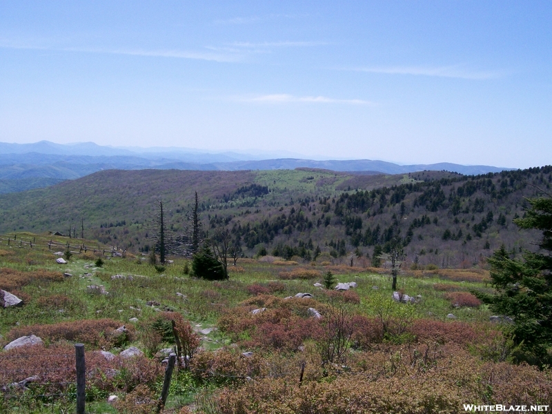 Photos From Grayson Highlands 2007 Trip