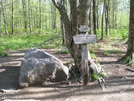 Photos From 2007 Grayson Highlands Trip by Scout75 in Trail & Blazes in Virginia & West Virginia