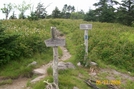 2008 Grayson Highlands Trip by Scout75 in Trail & Blazes in Virginia & West Virginia