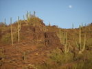 Picacho Peak by tumbleweed6789 in Other Trails