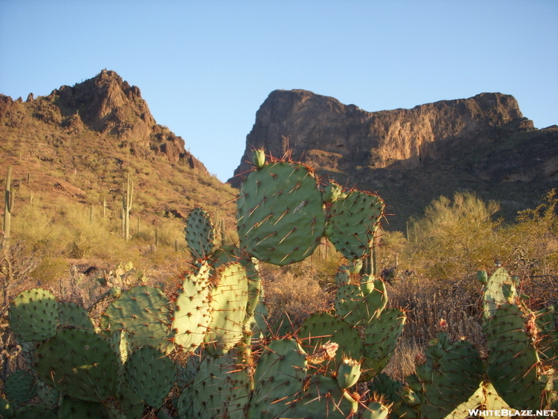 Picacho Peak