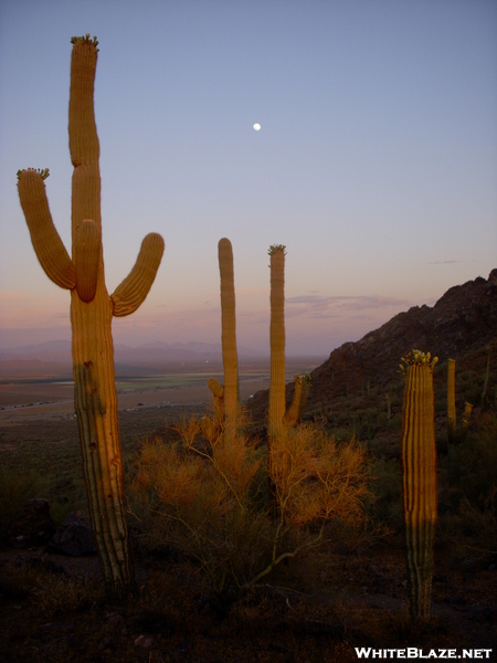 Picacho Peak