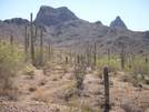 Picacho Peak Arizona by tumbleweed6789 in Other Trails