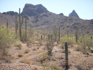 Picacho Peak Arizona