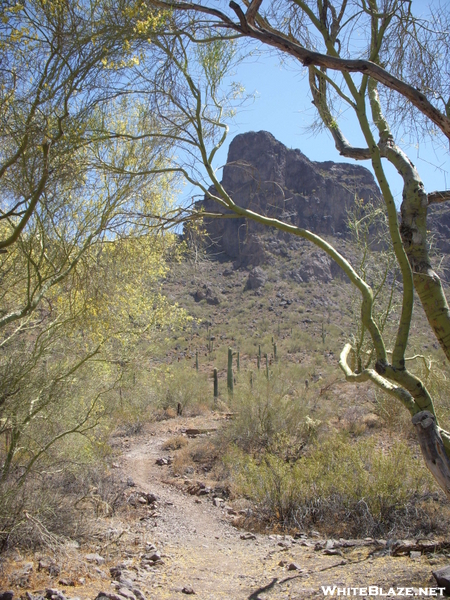 Picacho Peak Arizona