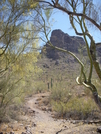 Picacho Peak Arizona