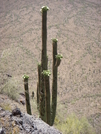 Picacho Peak Arizona by tumbleweed6789 in Other Trails