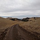 ca diablo foothills 2 by dudeijuststarted in Day Hikers