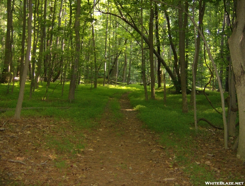 Elk Neck State Park