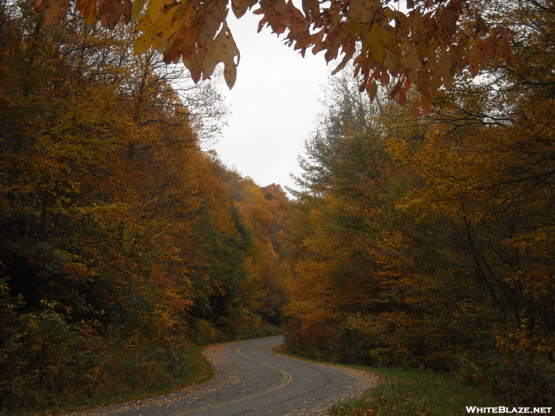 Autumn In Va