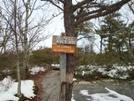 Mcafee Knob 1-16-10