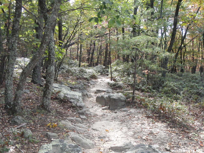 At To Mcafee's Knob