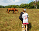 Close Encounter Of An Equine Kind by Hoop Time in Trail & Blazes in Maryland & Pennsylvania