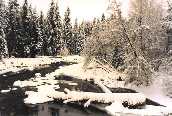 Leavenworth, Wa Near Cascade Mtns.