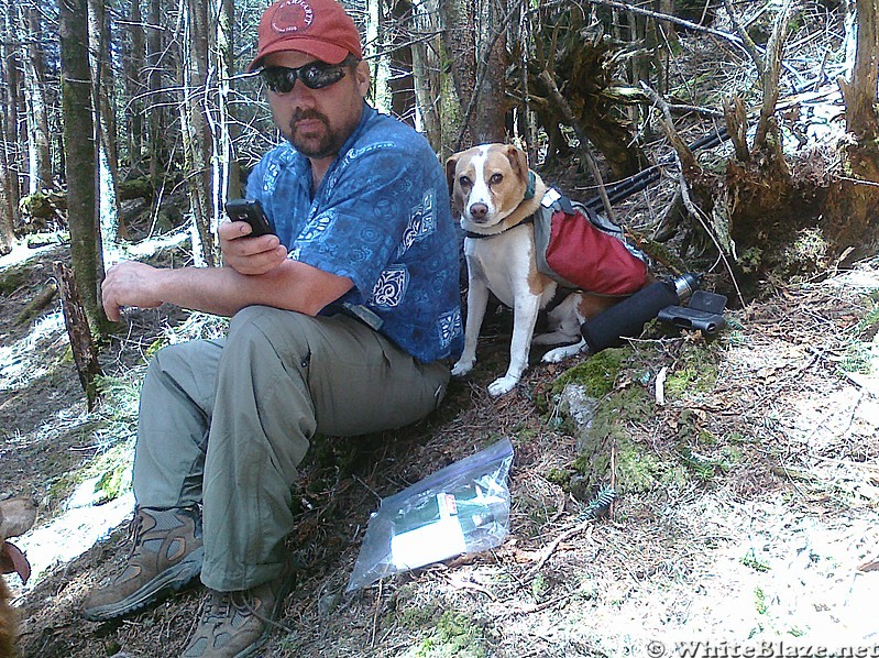 Favorite hiking hounds