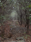 Smokies In March by Serial 07 in Trail & Blazes in North Carolina & Tennessee