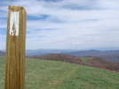 Classic Trail Scene by Serial 07 in Trail & Blazes in North Carolina & Tennessee