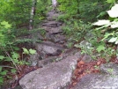 hmmm is this the trail? by mdjeeper in Views in New Hampshire