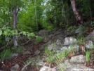 climbing into the tunnel by mdjeeper in Views in New Hampshire