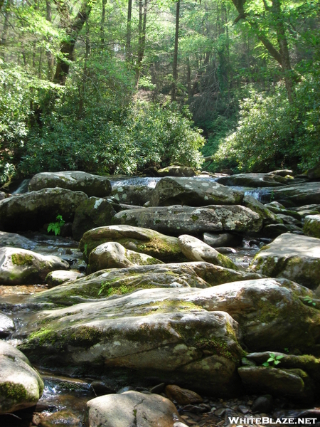 Chimney Tops, Tn