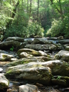 Chimney Tops, Tn by knoxvilnattacks in Day Hikers