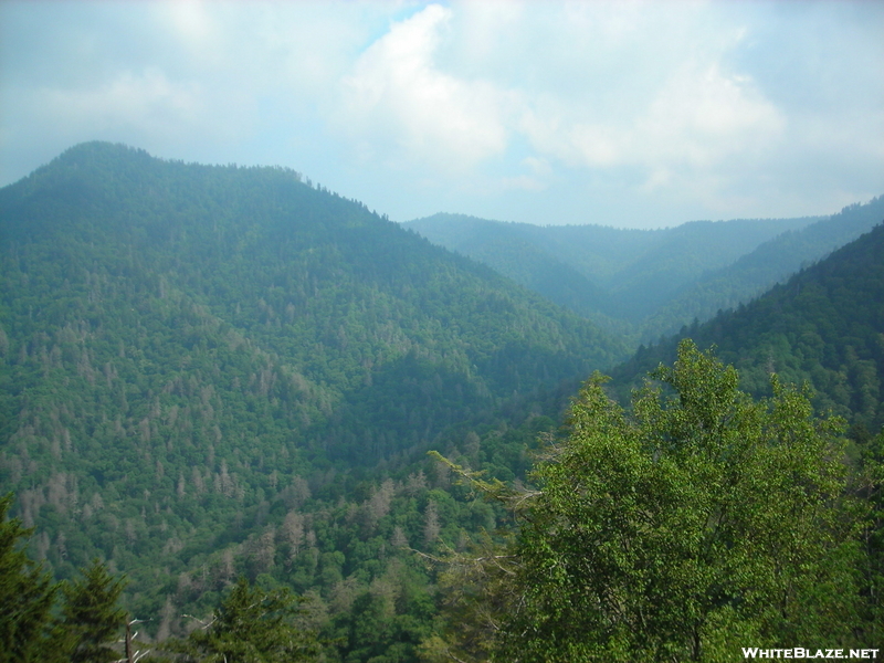 Chimney Tops, Tn