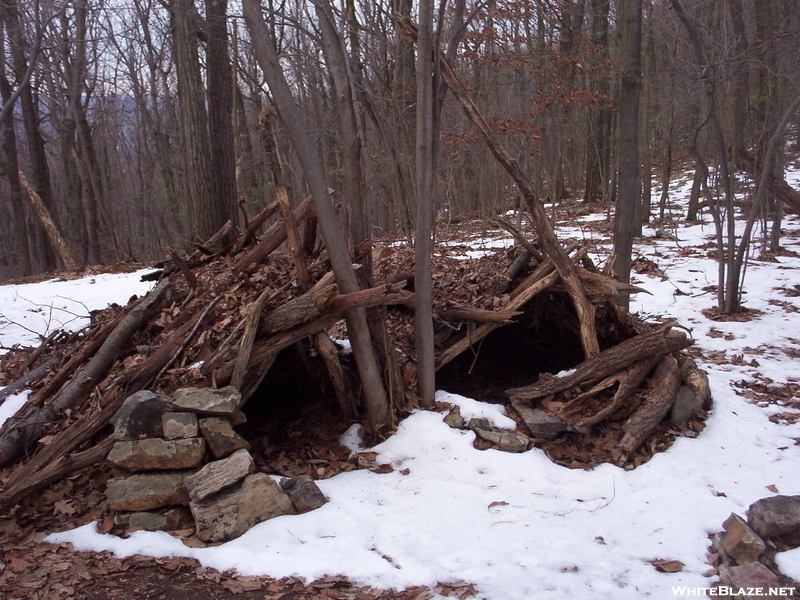 Primitive Debris Shelter Near Pa 309