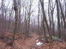 Looking Down Old Dresher Road