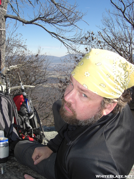 Strickler Knob