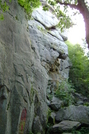 Pictures From The Laurel Highlands Trail In Pa