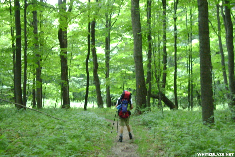 Pictures From The Laurel Highlands Trail In Pa