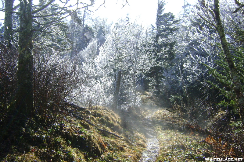 Smokies Frosty Morning