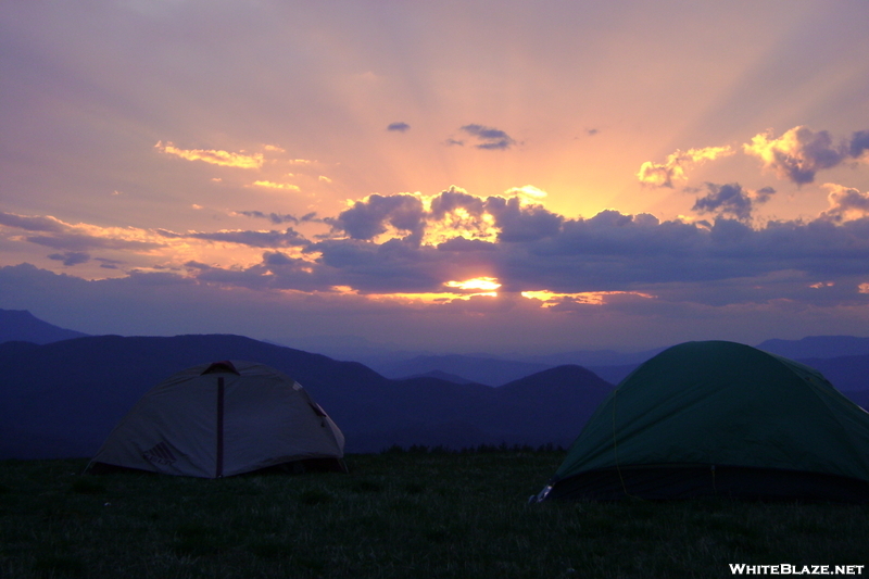 Max Patch Rusticus